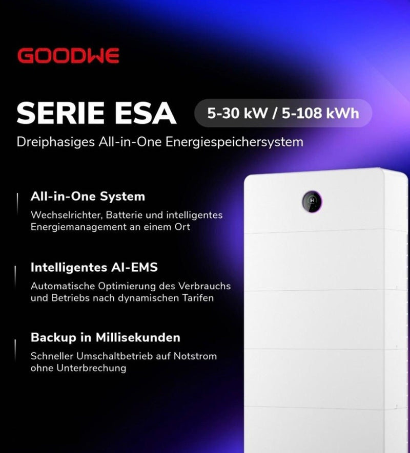 GoodWe ESA Batteriemodul 5 kWh  GW5.1-BAT-D-G20